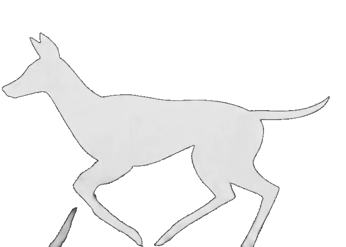 Running Deer